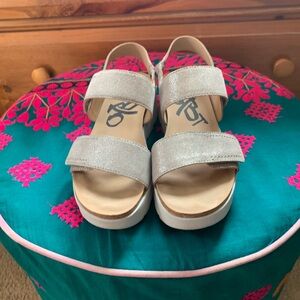 OTBT shimmery tan montane sandals
Size 8.5